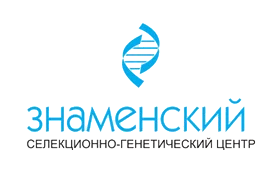 знаменский СГЦ